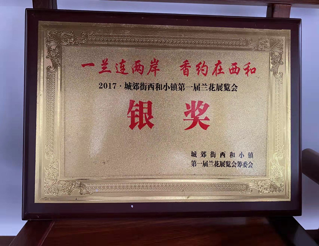 2017年城郊西和小鎮(zhèn)第一屆蘭花展覽會獲銀獎(jiǎng)