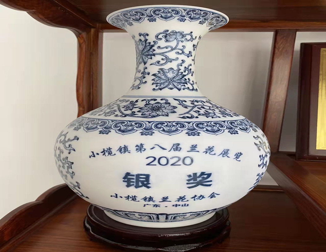 2020年小欖鎮(zhèn)第八屆蘭花展覽獲銀獎(jiǎng)